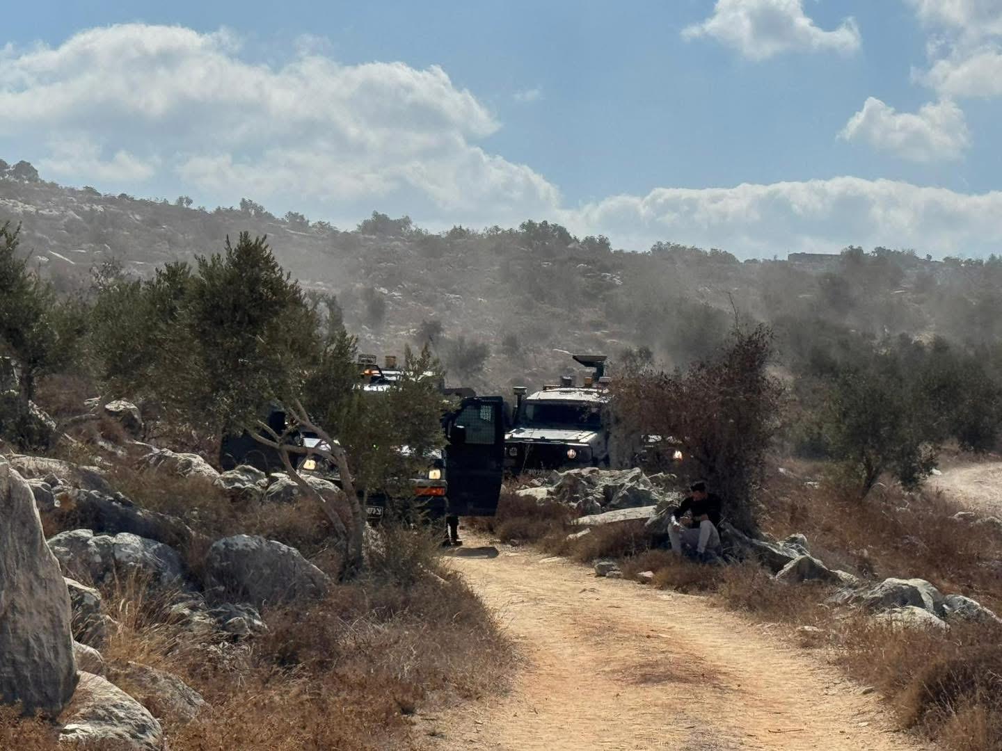 Zaytoun2025: Harvesting under fire (second edition)