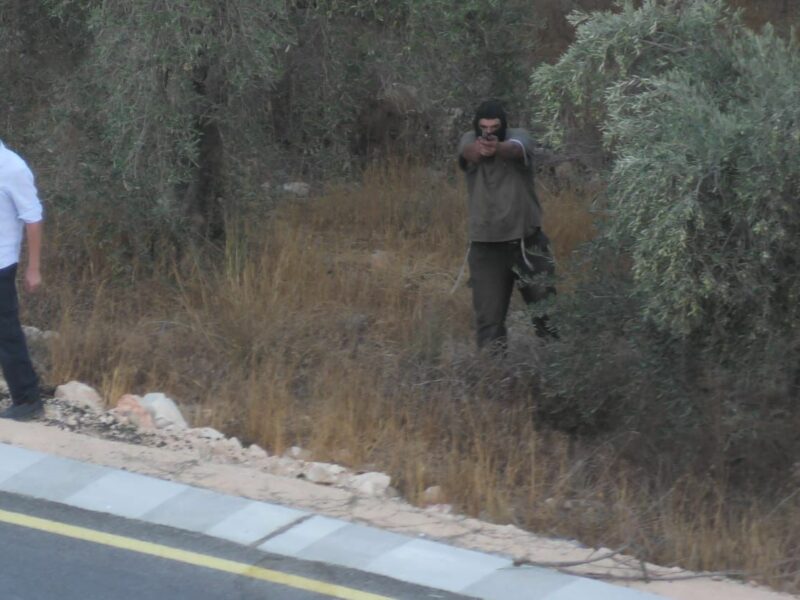 Zaytoun2025: Harvesting under fire 