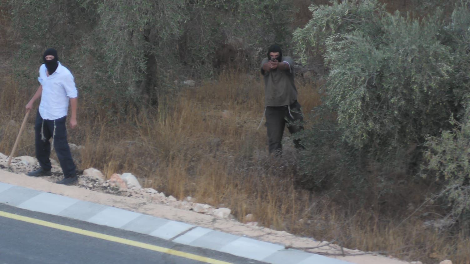 Zaytoun2025: Harvesting under fire 