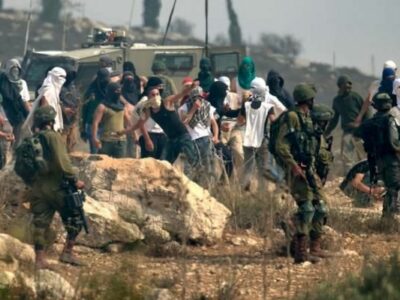 Zaytoun2025: Harvesting under fire (third edition)